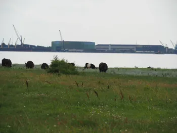 Halshuisene + Enebaerodde Beach (Denemarken)